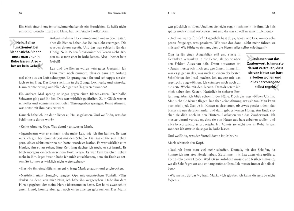 Rini van Soling Dpunkt.Verlag GmbH Der Bienenhirte – übe (Paperback) (UK IMPORT) - Image 4 of 4