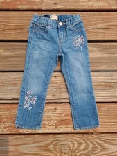 Nothern Lights Gap Babygap Kid Girl Jeans Size 3t Embroidered Denim Jean