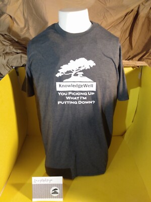KnowledgeWell YOU PICKING UP WHAT I'M PUTTING DOWN? T SHIRT GILDEN XL