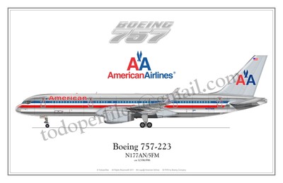 Boeing 757 American Airlines - Poster Profile | eBay
