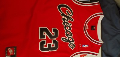 chicago jersey 23