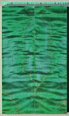 Stunning Stabilized Green Tiger Curl Maple knife scales #1017, 6 1/16 x 1 13/16''