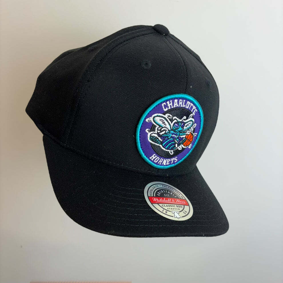 Mitchell & Ness NBA Charlotte Hornets AlleyOop Embroidered Logo Snapback Hat