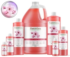 Japanese Cherry Blossom Fragrance Oil For Candle, Soap Making, Diffuser, Burners