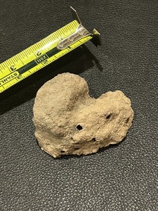 Mud Dauber Dirt Wasp Nest Great for terrariums or display 3 1/2“ length 