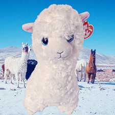 Retired TY 2018 Classic Lily Llama 12 in Medium Alpaca Sparkle Eyes Cream Plush