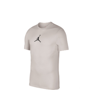 nike jordan jumpman dfct ss crew