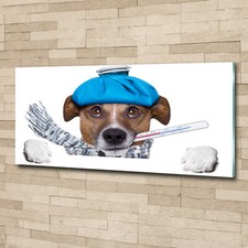 Glass Print Wall Art Image Picture 125x50cm - Ill dog