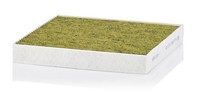 Mann-Filter Filter, Innenraumluft FP 23 024 FüR Hyundai