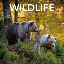 Turner Licensing,  Wildlife 2026 Wall Calendar, 12'' X 12'', 12-Month Calendar w