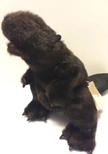 Folkmanis Beaver Hand Puppet 18" Long 7" Wide 6” Tall Movable mouth Realistic