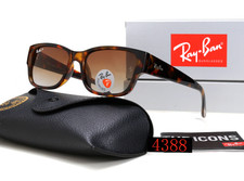 Ray Ban RB4388 Classic Travel Polarized Sunglasses Black Frame unisex new