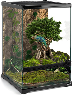Mini Reptile Glass Terrarium Tank 8''X8''X12  Full View with Front Opening Door an
