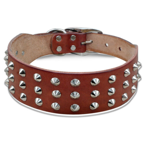 Collare cuoio cane Borchie taglia grande piccola Nero Pitbull Bulldog Rottweiler - Foto 13 di 14
