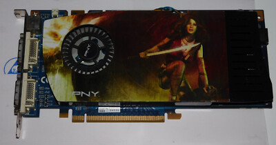 DEFEKT / DAMAGE NVidia 9600 GT 512MB PCIe Grafikkarte PNY GH9600GN1F51X