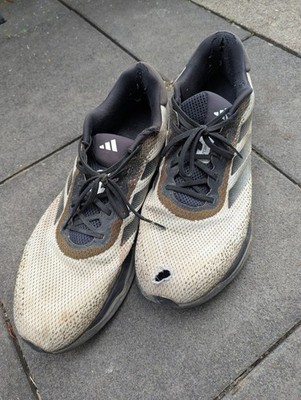 Adidas Sneaker Übergröße 52 2/3 Gayle Very Used Sammler