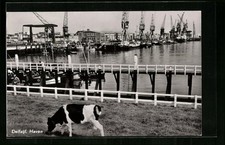 Delfzijl, Haven, Ansichtskarte 1967 