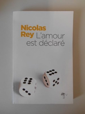 Liebe ist erklärt - Rey, Nicolas