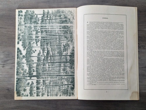 Tipos e Aspectos do Brasil Excertos d Revista Brasileira de Geografia 1942 Buch - Bild 5 von 6
