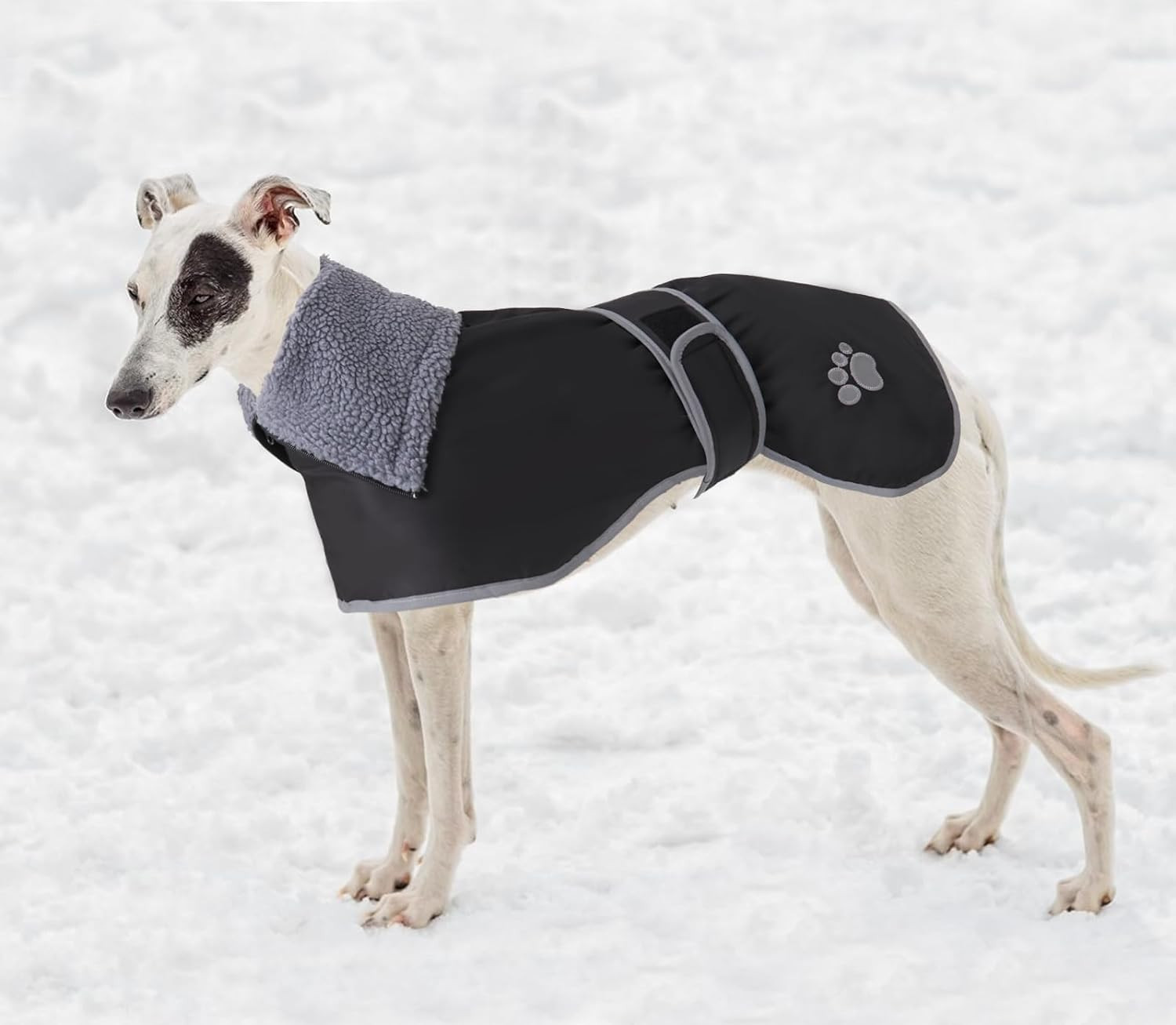 Dog Winter Coat  Greyhound Raincoat Fabric with Lamb Velvet inside Outdoor Dog A