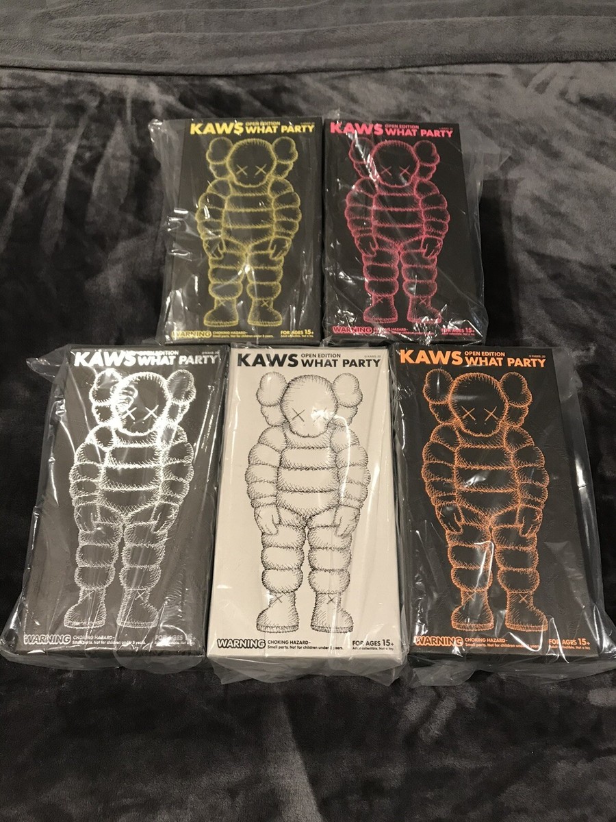 KAWS WHAT PARTY 5体セット