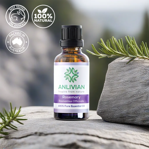 10ML Essential Oil 100% Pure & Natural and Organic for Diffuser and aromatherapy - Picture 17 of 19