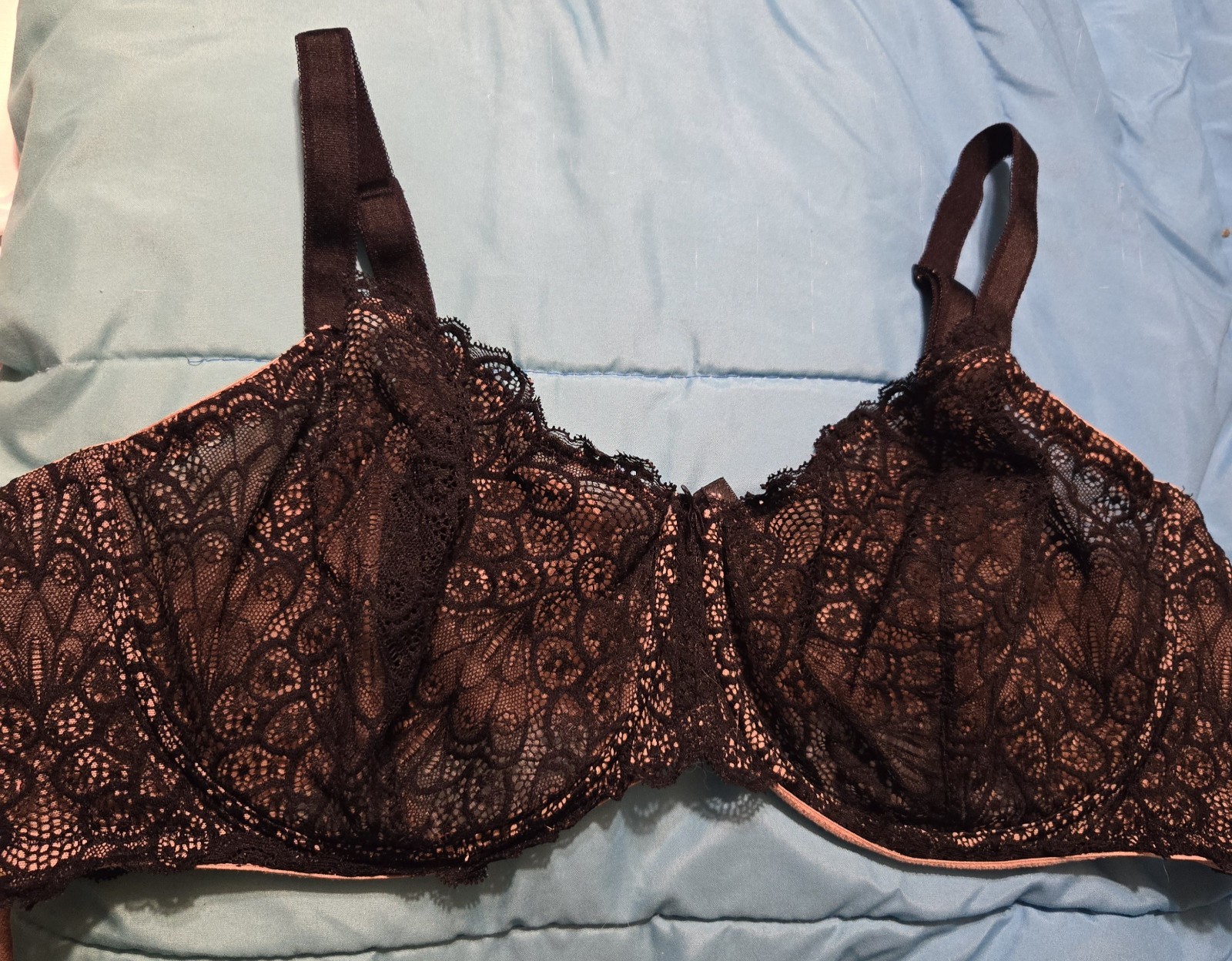 Torrid Curve 48c
