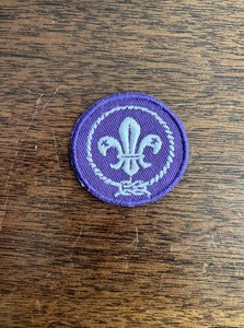 Boy Scouts BSA World Crest Patch Badge Sew-On Scouting World Organization WOSM