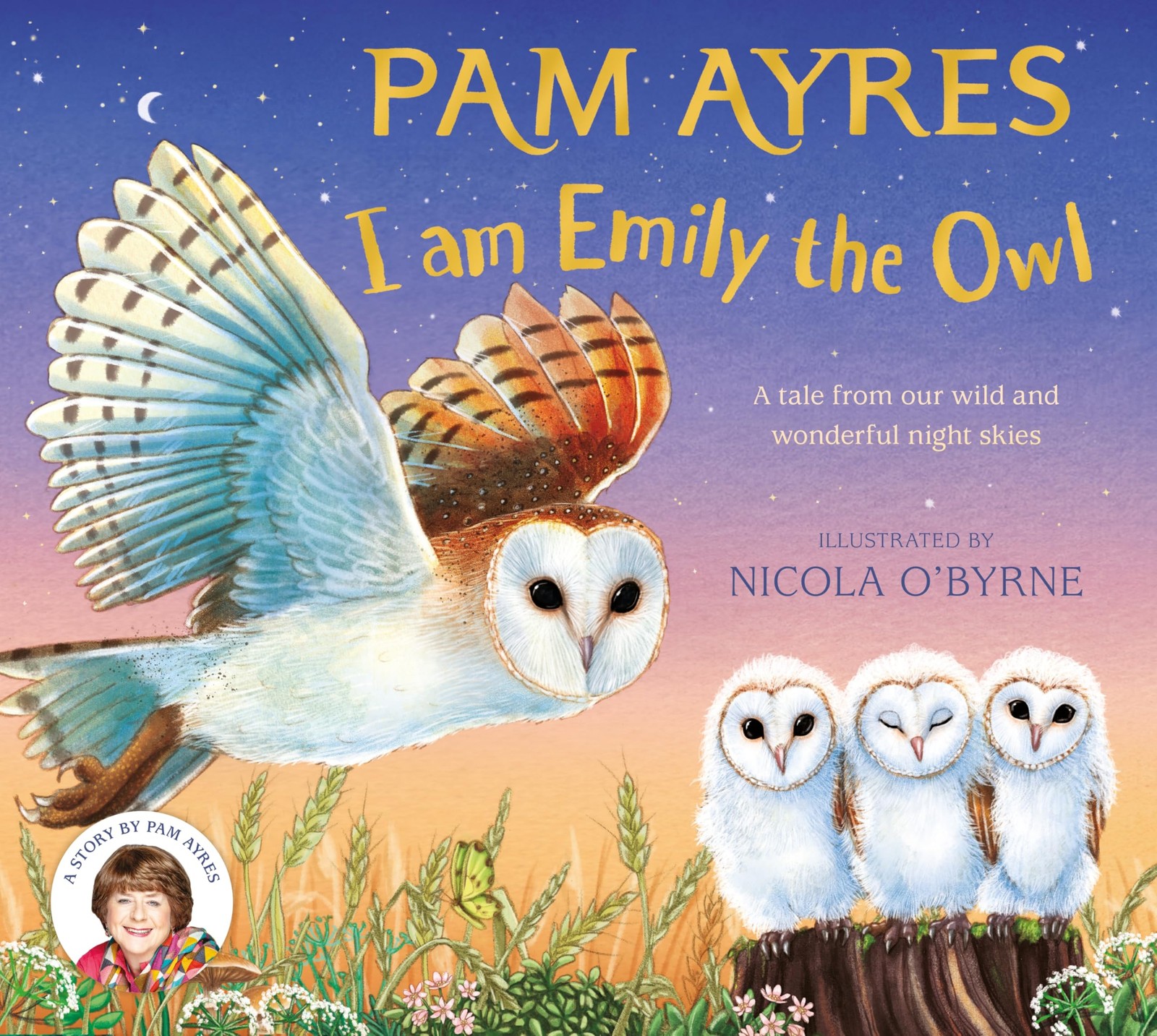 I am Emily the Owl: A tale from our wild and wonderful night s .