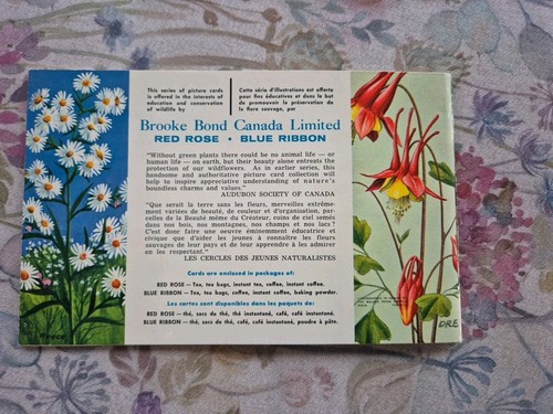 Brooke Bond Canadian Wild Flowers Job Lot - Picture 8 of 10