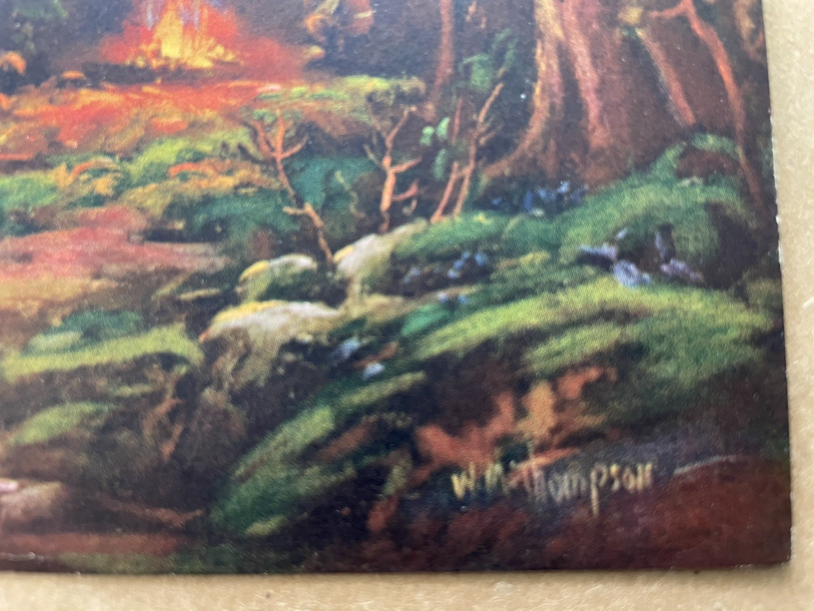 Picture 2 of 3