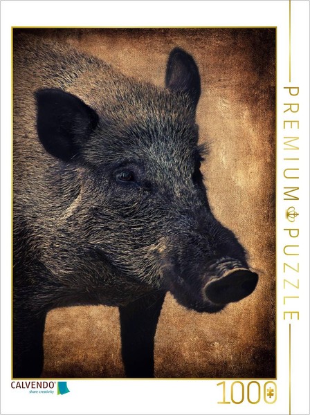Calvendo Puzzle Wild Boar | 1000 Pieces, Finished Size 25.2 × 18.9 In (64 × 48 C-image