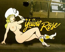 WWII BOMBER AIRPLANE NOSE ART 8.5x11 PRINT YELLOW ROSE COWBOY PINUP AVIATION