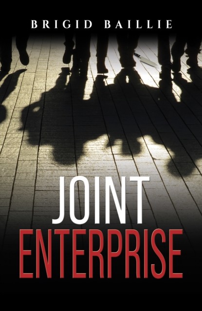 Joint Enterprise by Brigid Baillie (Paperback Book)