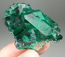 Dioptas - Renéville, Republik Kongo