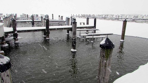 Scott Aerator De-Icer, Dock Mount, 1 HP 115 V, 100ft. Power Cord - 第 3/9 張圖片
