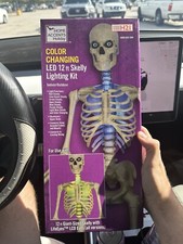 12 Ft Skeleton Skelly LED Home Accents Holiday Lighting Kit Home Depot
