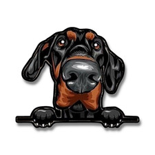 Doberman Puppy Sticker, Cute Dog Decal for Laptops  indoor Use 1.5" - 6" 