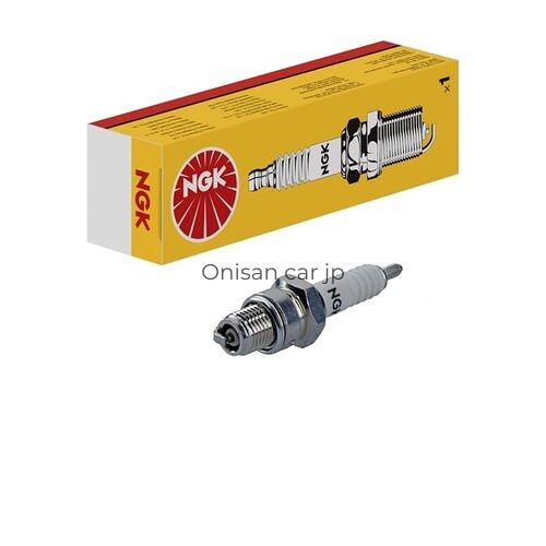 NGK General-purpose Spark Plug D5HS/0087295162125