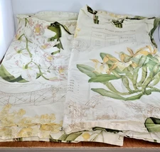 2 POTTERY BARN Pillow Sham Orchids Botanical Garden Script writing EURO  26"