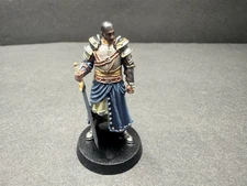 D&D DnD Painted Resin 28mm Human Paladin Fighter
