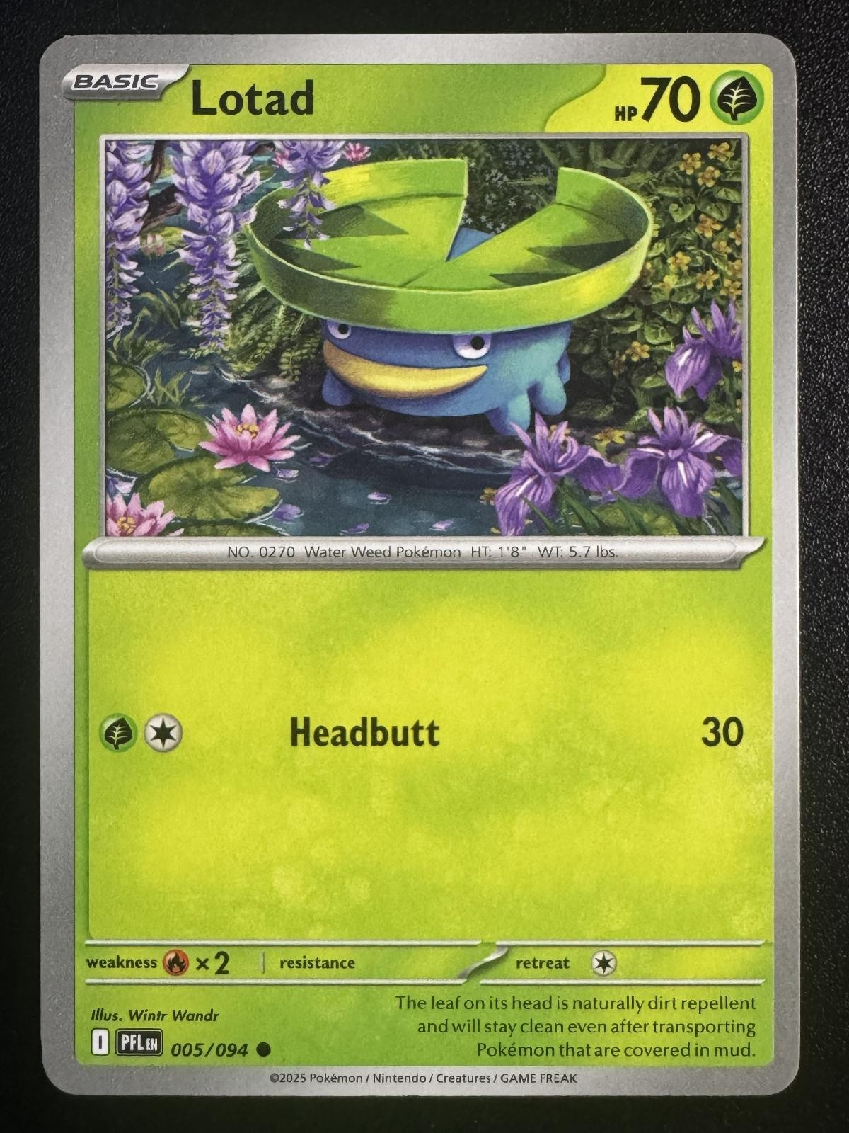 Lotad 005/094 - Phantasmal Flames - Common NM