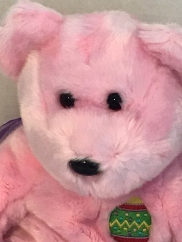 TY EGGS The Beanie Buddy 14 Zoll babyrosa mit lila Obertönen, soo hübsch 😍 - Bild 2 von 13