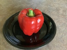 60 Quadrato D Asti Rosso Bell Pepper seeds, organically grown heirloom