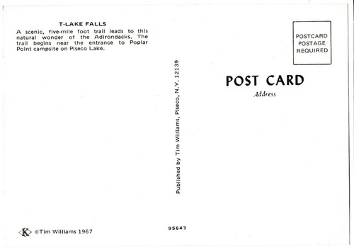 2 postales vintage de Piseco Lake T-Lake Falls Panther Nueva York NY Adirondacks ADK - Imagen 5 de 8