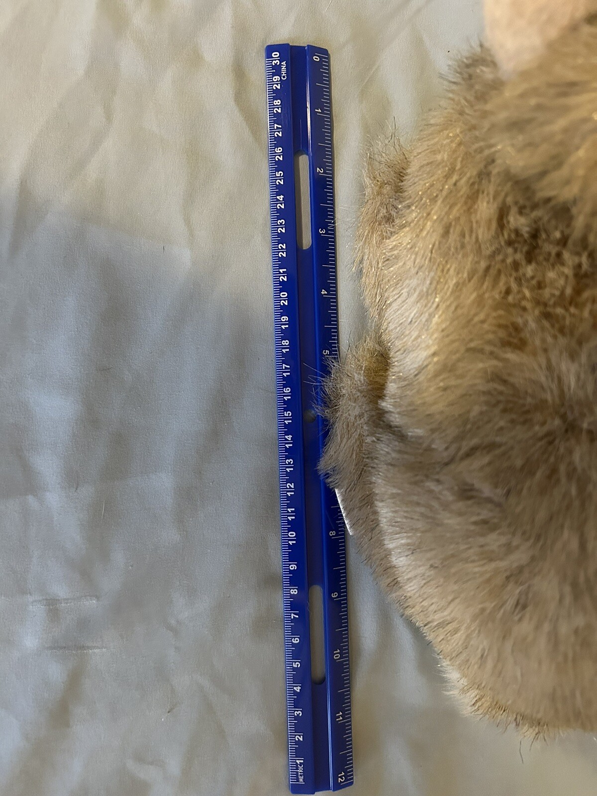Picture 6 of 11