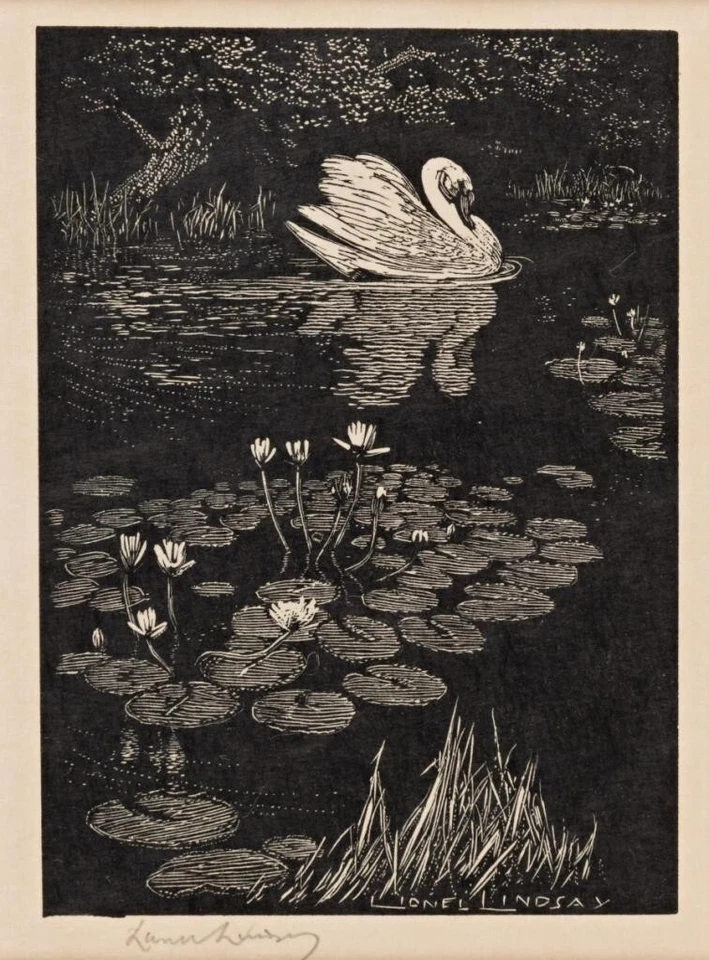 The Swan : Lionel Lindsay : 1924 : Archival Quality Art Print Foto 2 de 2