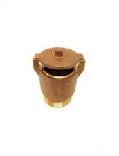 V50-126 – Val-Pak Hydrostatic Relief Valve, Brass (2″)