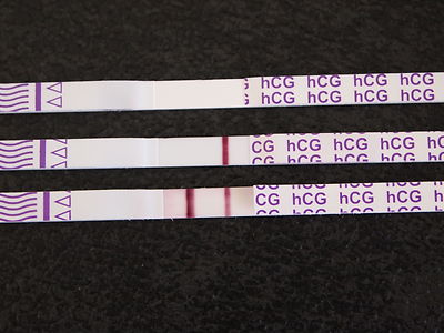 Schwangerschaftstest Streifentest Von Biorepair Schnell Sicher