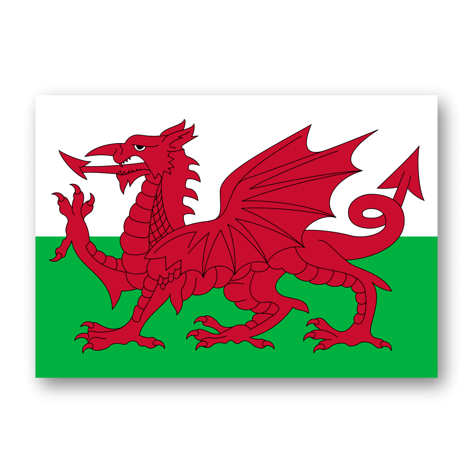 10 Welsh Flag Stickers | Wales Flag Vinyl Stickers | Car Luggage Laptop